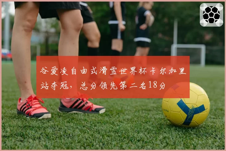 谷爱凌自由式滑雪世界杯卡尔加里站夺冠，总分领先第二名18分