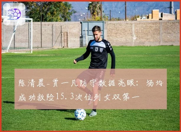 陈清晨_贾一凡防守数据亮眼：场均成功救险15.3次位列女双第一