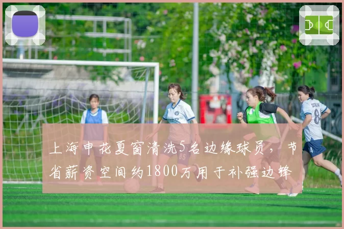 上海申花夏窗清洗5名边缘球员,节省薪资空间约1800万用于补强边锋