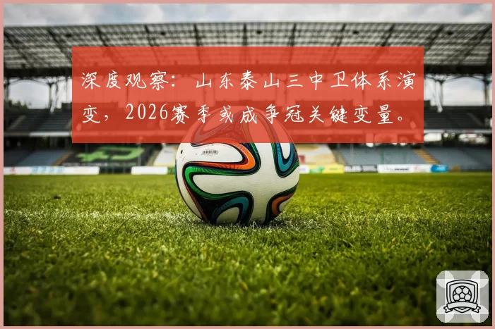 深度观察：山东泰山三中卫体系演变，2026赛季或成争冠关键变量。