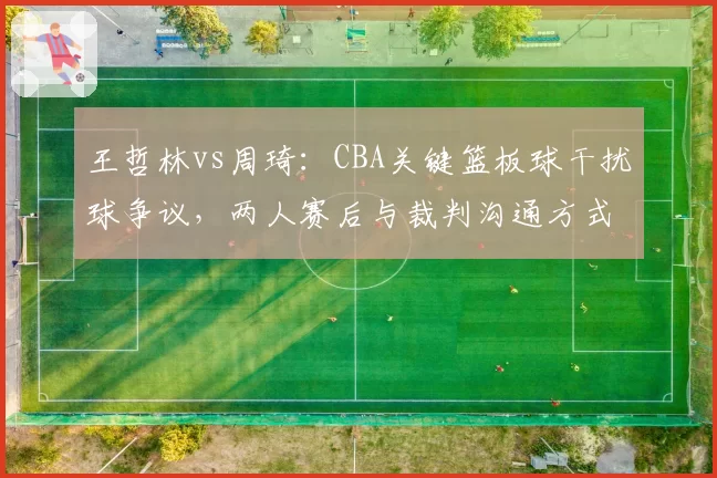 王哲林vs周琦：CBA关键篮板球干扰球争议，两人赛后与裁判沟通方式大相径庭